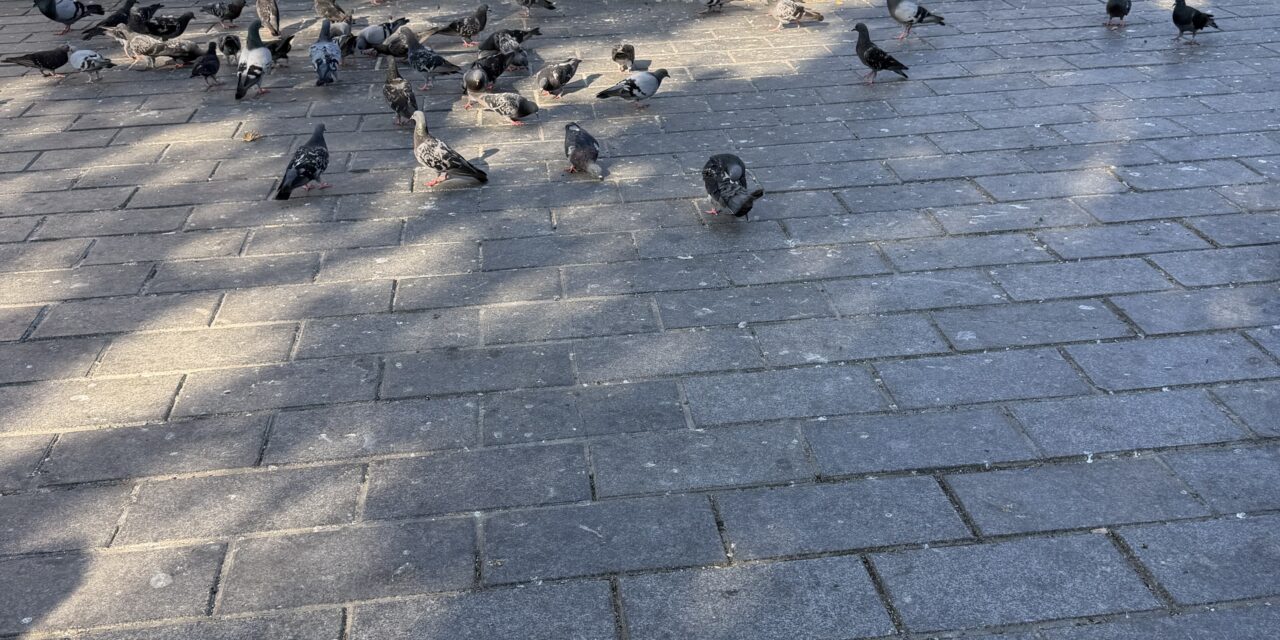 Rızkı Veren Allah Değil Mi?